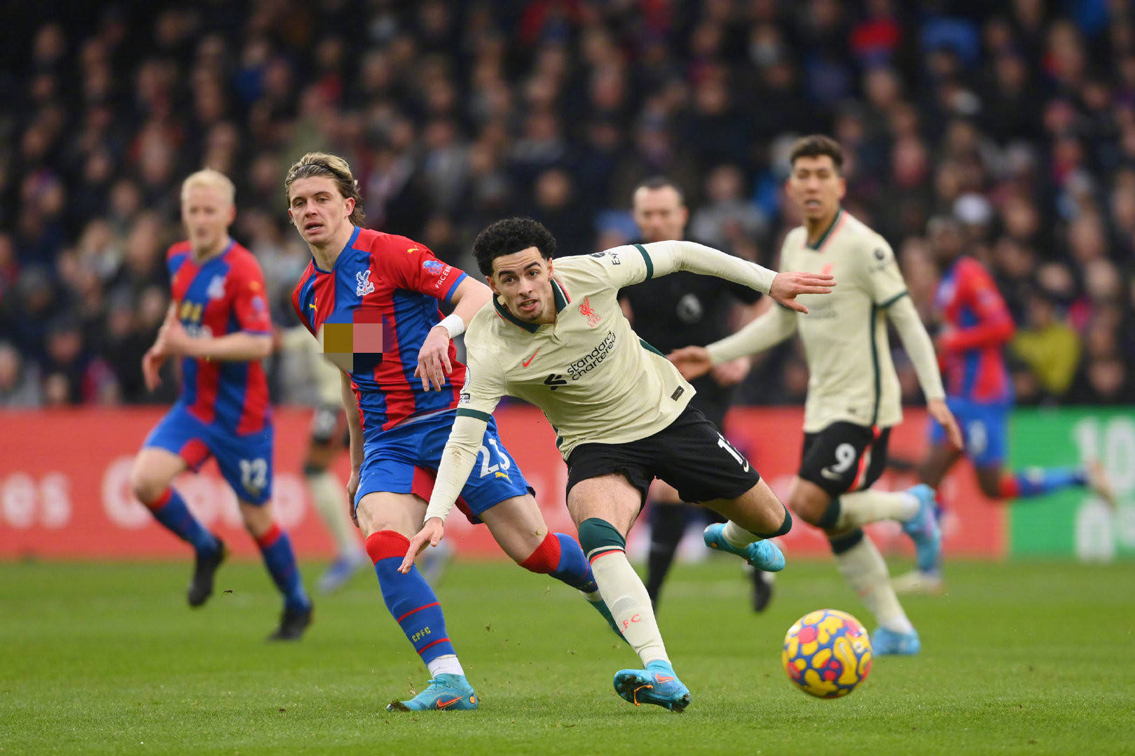 兰最铁杆的 兰最铁杆的